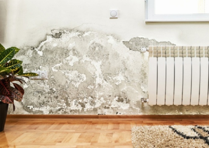 Mẹo xử lý tường bị ẩm mốc đơn giản–nhanh chóng  & hiệu quả